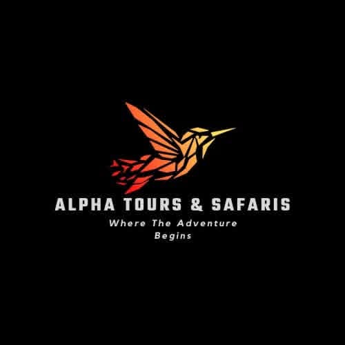 Alpha Tours Logo